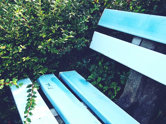 发展潜力 发展潜力