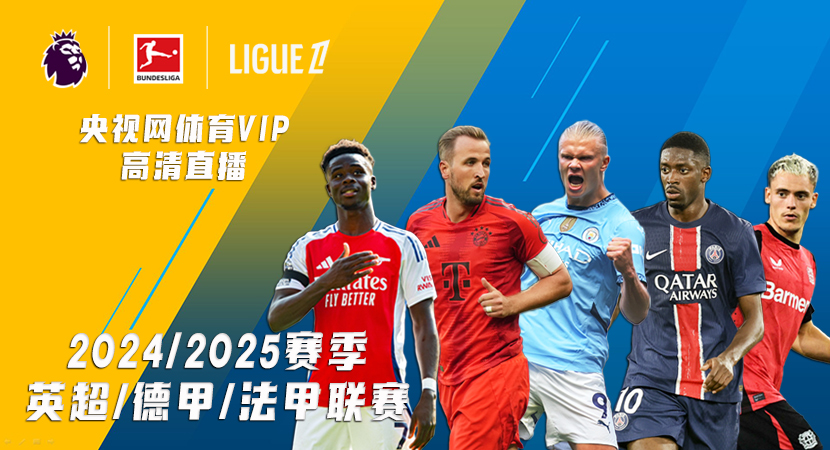 战术整合方 战术整合方