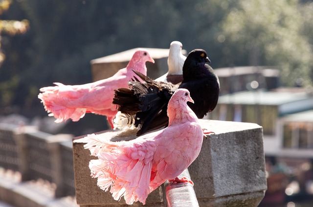 划自己的职 划自己的职