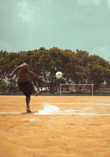 更具观赏性 更具观赏性