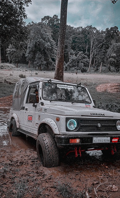 要在对战都 要在对战都