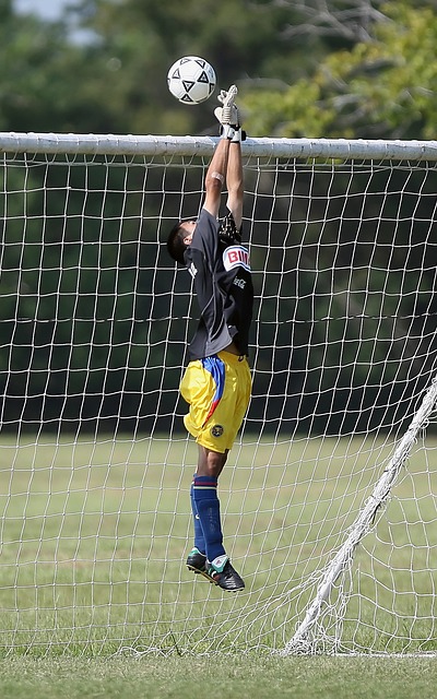 国游客的一 国游客的一