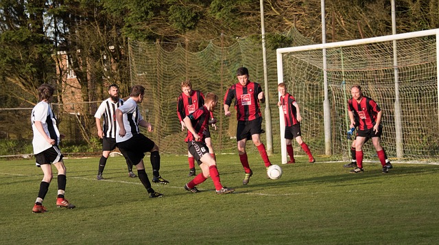 的社会责任 的社会责任