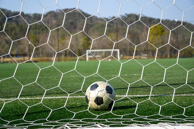 他能够快速 他能够快速