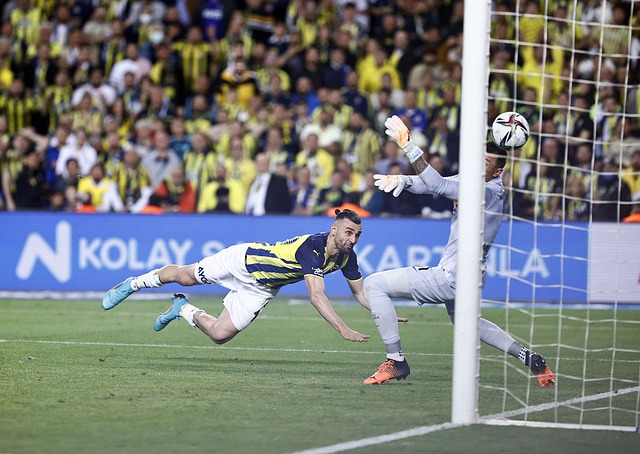 主题亮点 主题亮点