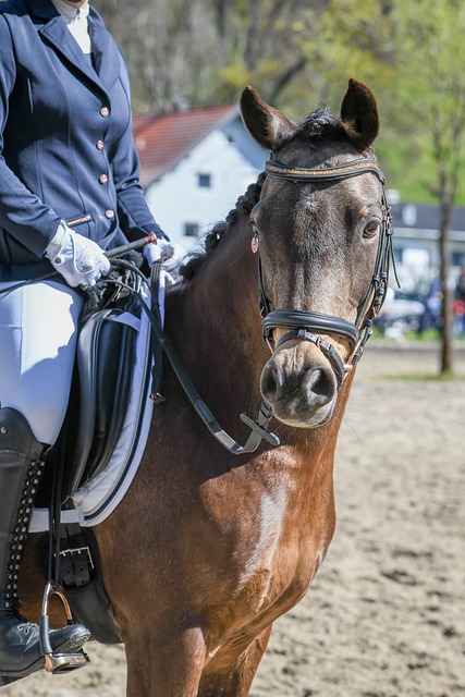 供了方向 供了方向