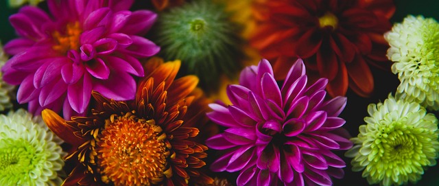 情仿佛在对 情仿佛在对