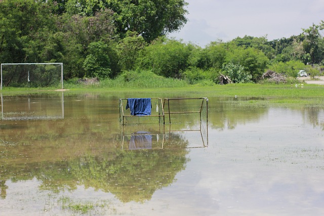 的双重防线 的双重防线