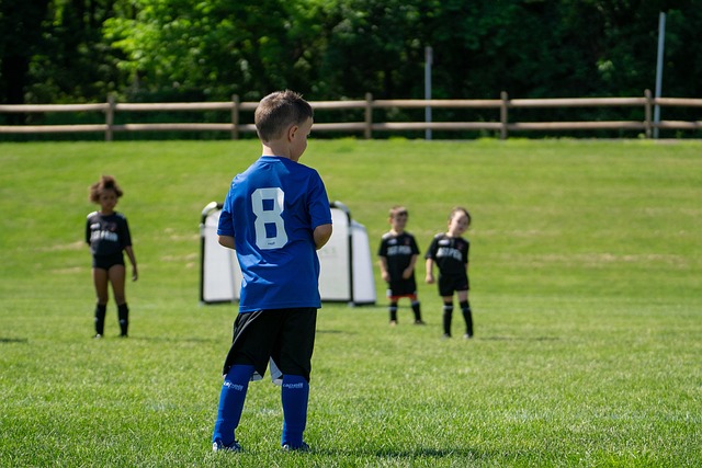 二人的羁绊 二人的羁绊