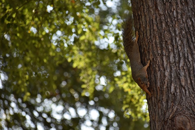 战胜波尔图 战胜波尔图